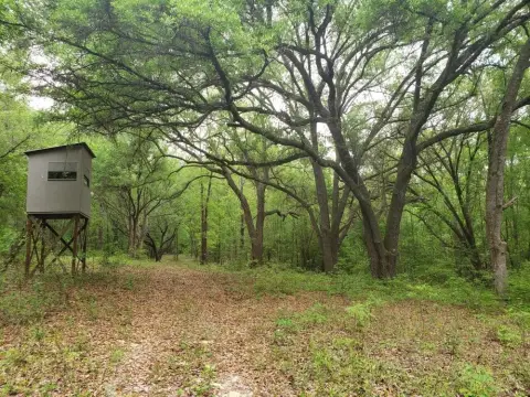 Turn-Key Hunting Land Tract