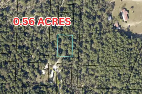 Wooded County Land Parcel