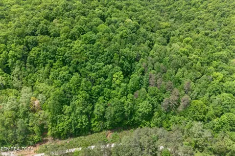 Wilder, TN Acreage for Sale