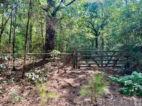 Recreational Homesite Land Tract