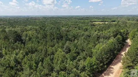 Recreational Hunting Tract