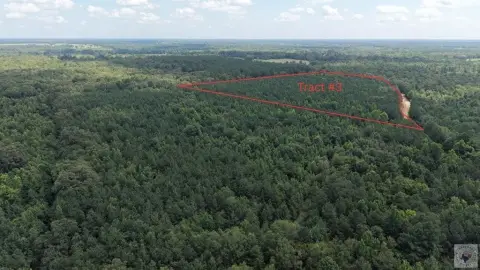 Land Tract with Pond and Setup