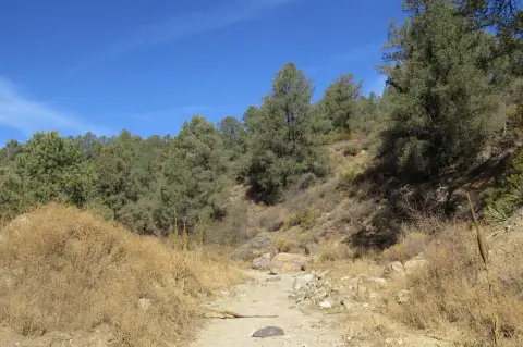 23 Acres of Vacant Land