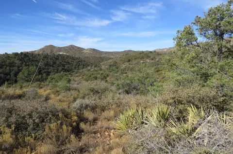 23 Acres of Vacant Land