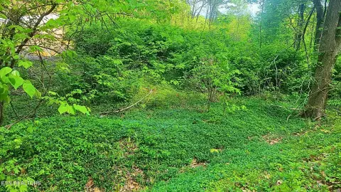 Gatlinburg Land with Amenities