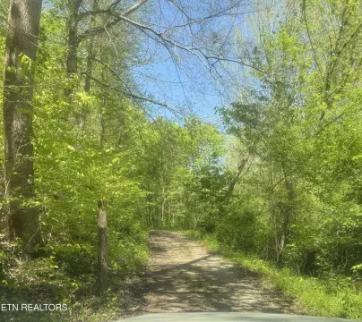 Claiborne County Land For Sale