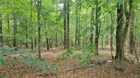Land For Sale, Tuscaloosa