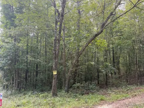 Land in Marbury, Alabama