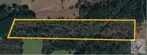 Recreational Hunting Land Tract