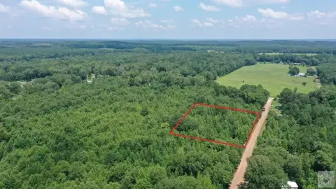 Unrestricted Wooded Homesite with Road Frontage