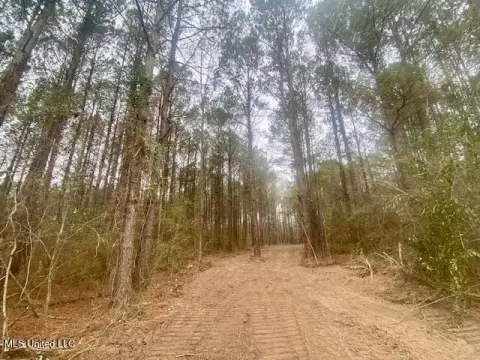 30 Acres Wooded Land, Columbia