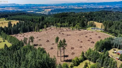 Buildable Estate Land Parcel