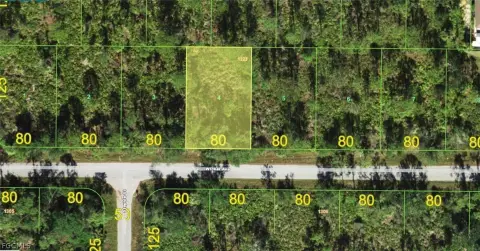 Residential Lot in Punta Gorda