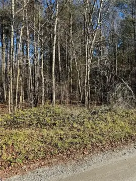 Residential Wooded Lot For Sale