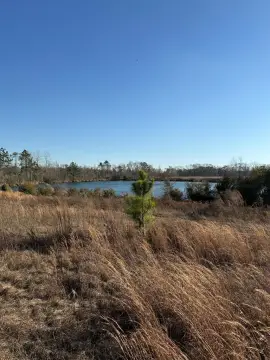 Lyons, GA Land with Ponds