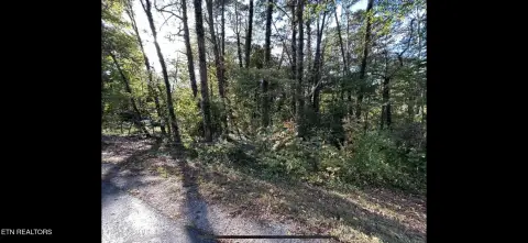 Residential Lot in Loudon, TN