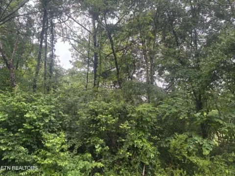 Unrestricted Acreage in Claiborne County