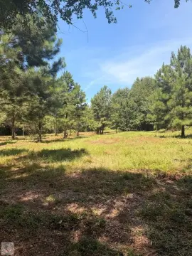 Wooded Hunting Land with Creek