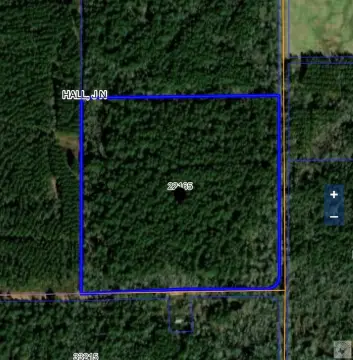 Recreation Land Tract with County Road Frontage