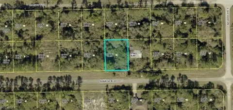 Residential Lot in Lehigh Acres