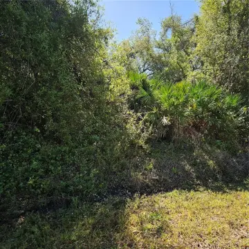 Residential Lot in North Port