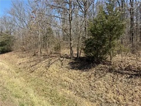 Land Near Jerico Springs, MO