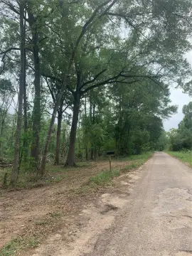 Unrestricted Land Near Highway 59N