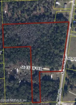 Wooded Land in Starke, Florida