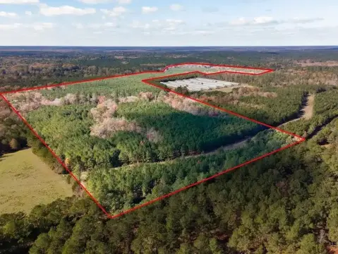 Timber and Hunting Recreation Tract