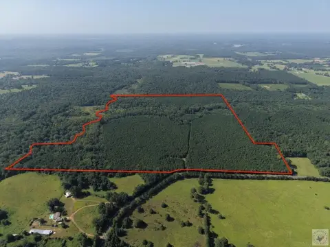 Recreation Land with Pine Plantation