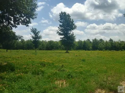Timbered Agricultural Land