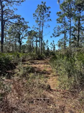 Residential Land in Lake Wales