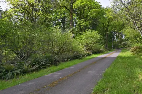Woodland Forest Homesite Opportunity