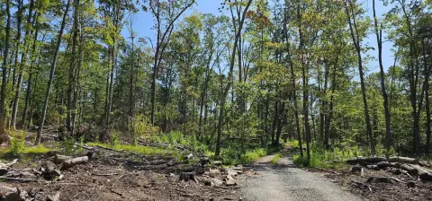 79 Acres Vacant Land, Narrowsburg