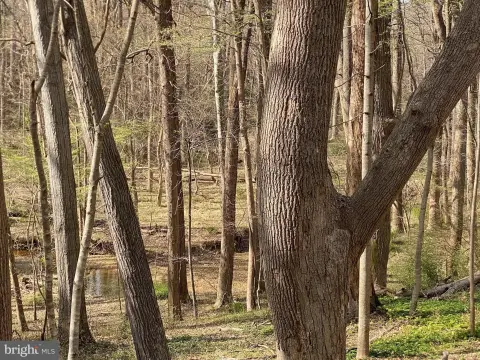 Potomac Land: Creekside Retreat