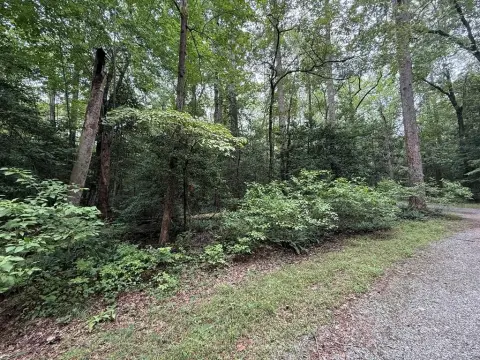 Wooded Residential Land Lot