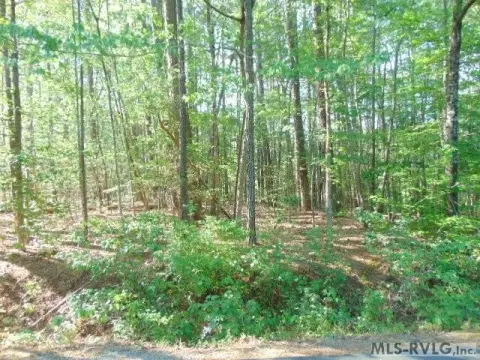 Residential Land in Bracey, Virginia