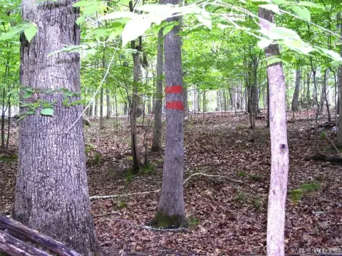 Kerr Lake Waterfront Land