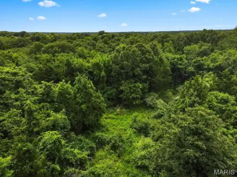 Fenton Land Ready for Development