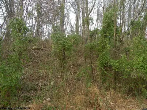 Residential Land in Morgantown, WV