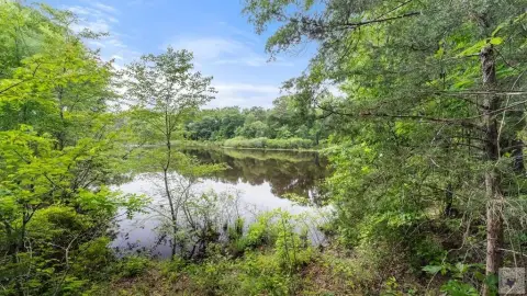 268 Acres Hunting Land in Atlanta
