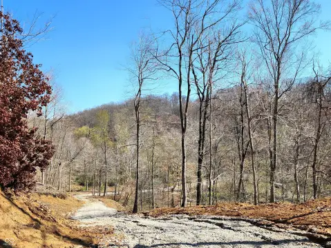11.9 Acre Homesite in Martinsville