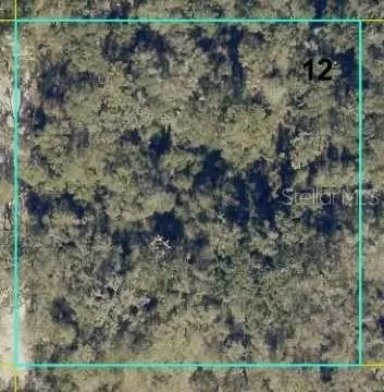 Vacant Land in Webster, Florida