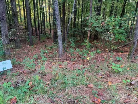 Creekfront Recreation Land Lot