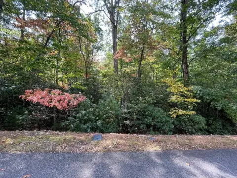 Wooded Lot in Gated Community
