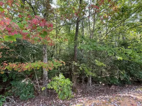 Wooded Lot in Gated Community