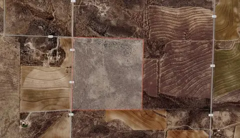 160 Acres in Fluvanna, TX