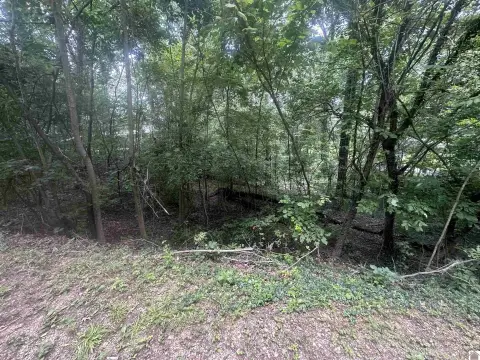 Residential Land Near Lake Barkley