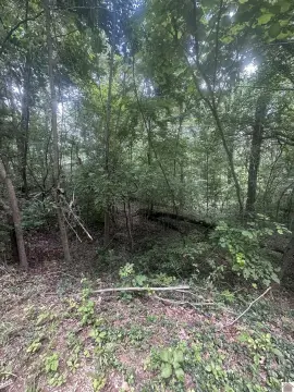 Residential Land Near Lake Barkley
