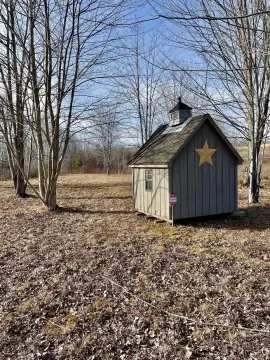 20+ Acre Hunting/Homestead Land